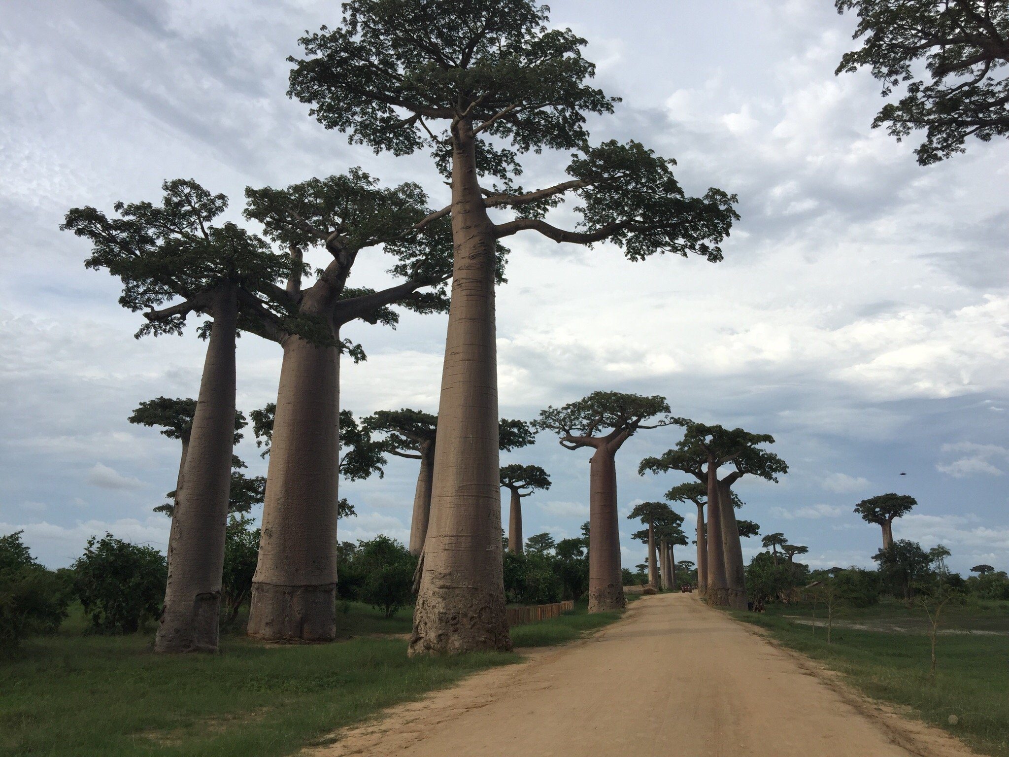 Que visiter à Madagascar ?